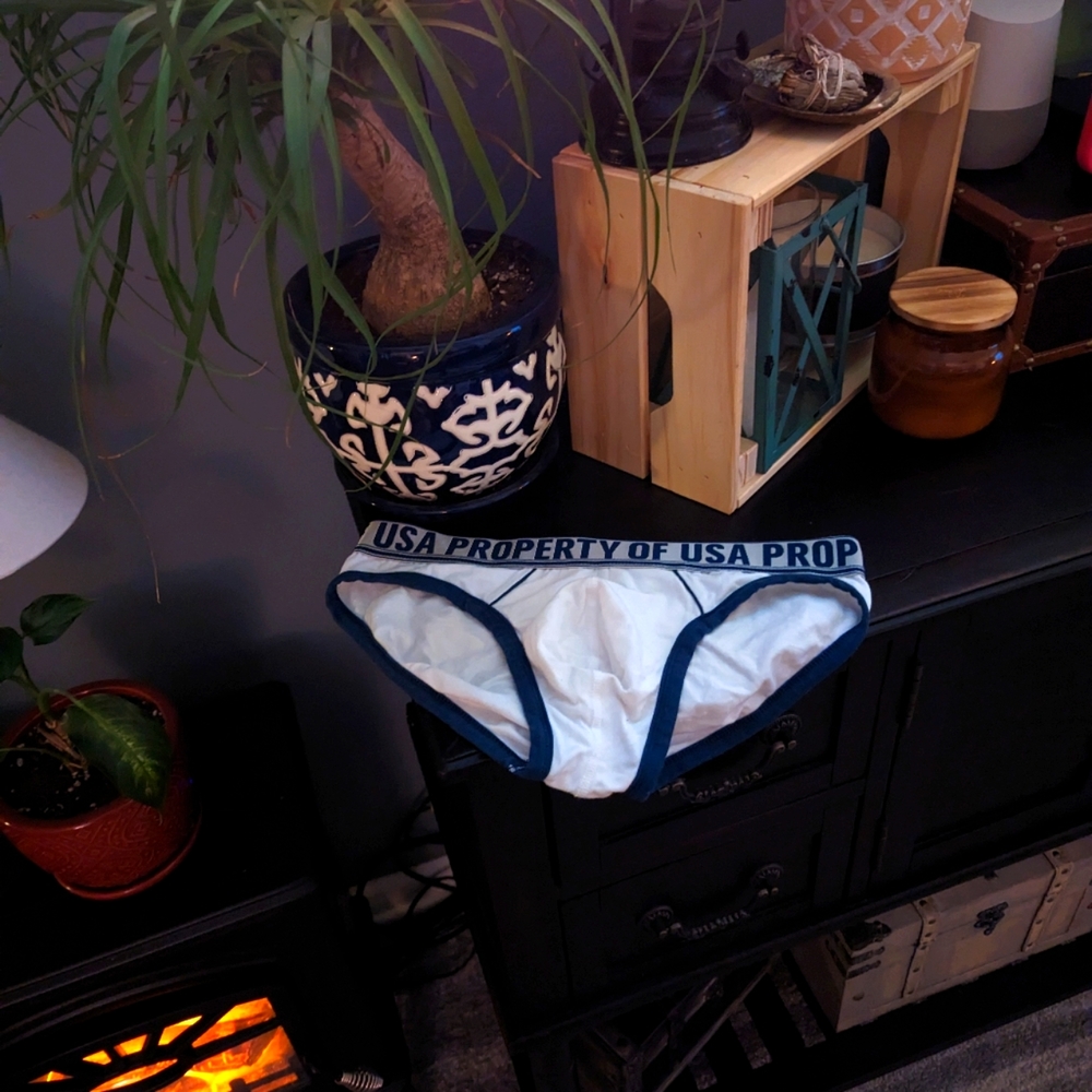 AussieBum Property USA Briefs